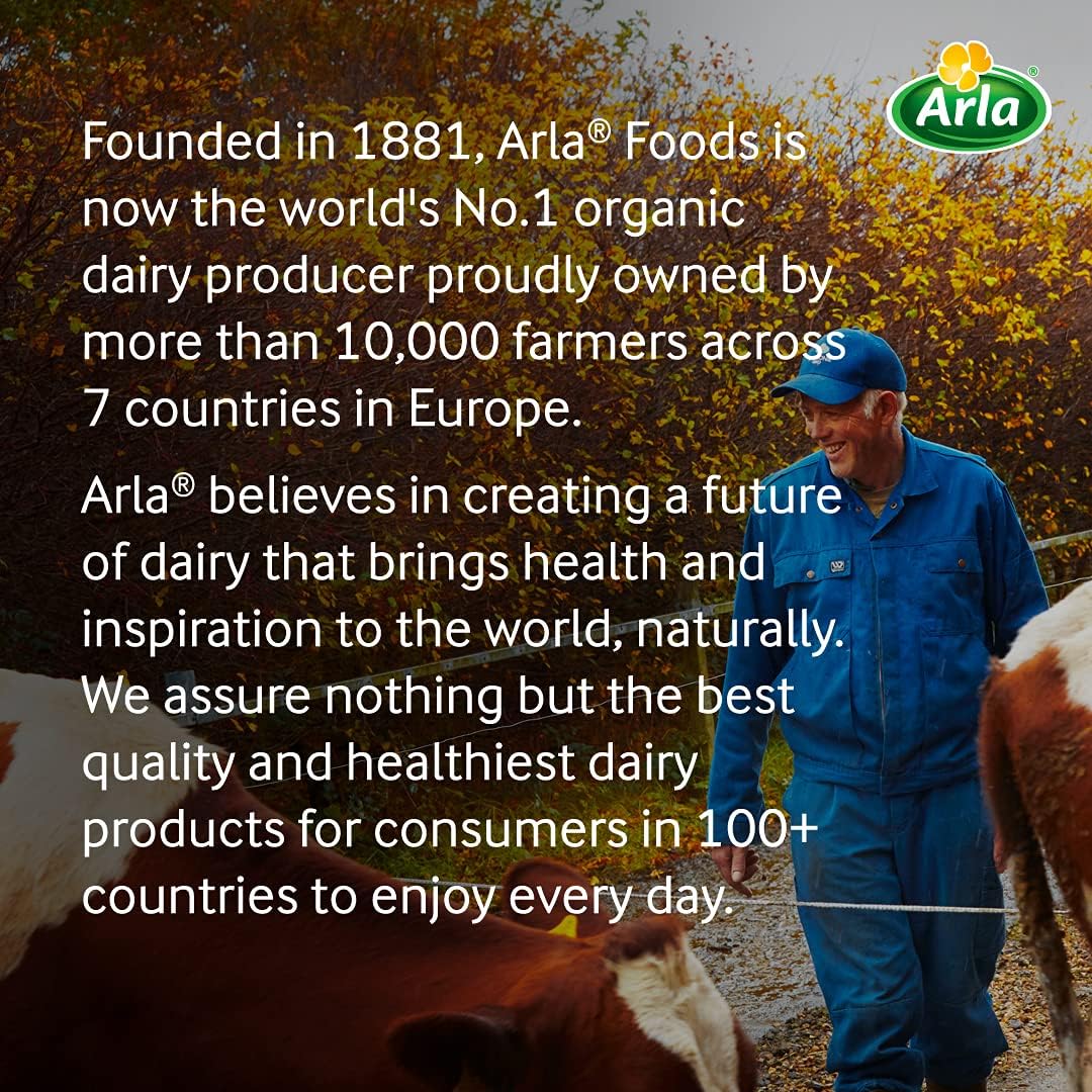 Arla Gouda Cheese Slice 150G, Imported from Denmark, Melt-Proof Pan-India Delivery