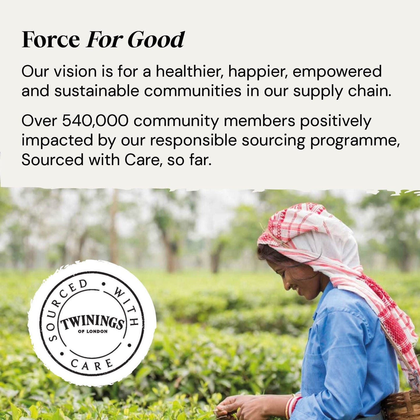 Twinings Heartea - Blackcurrant & Rosemary Herbal Tea – 20 Bags| imported