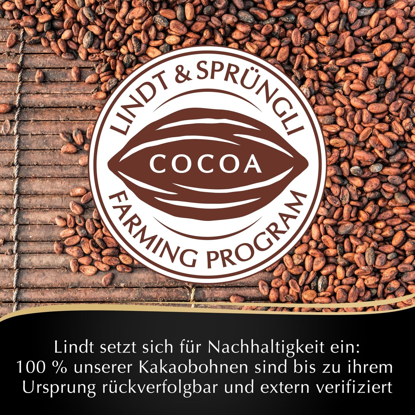 Lindt Edelbitter Mousse Chocolate Truffle – 150g | Imported