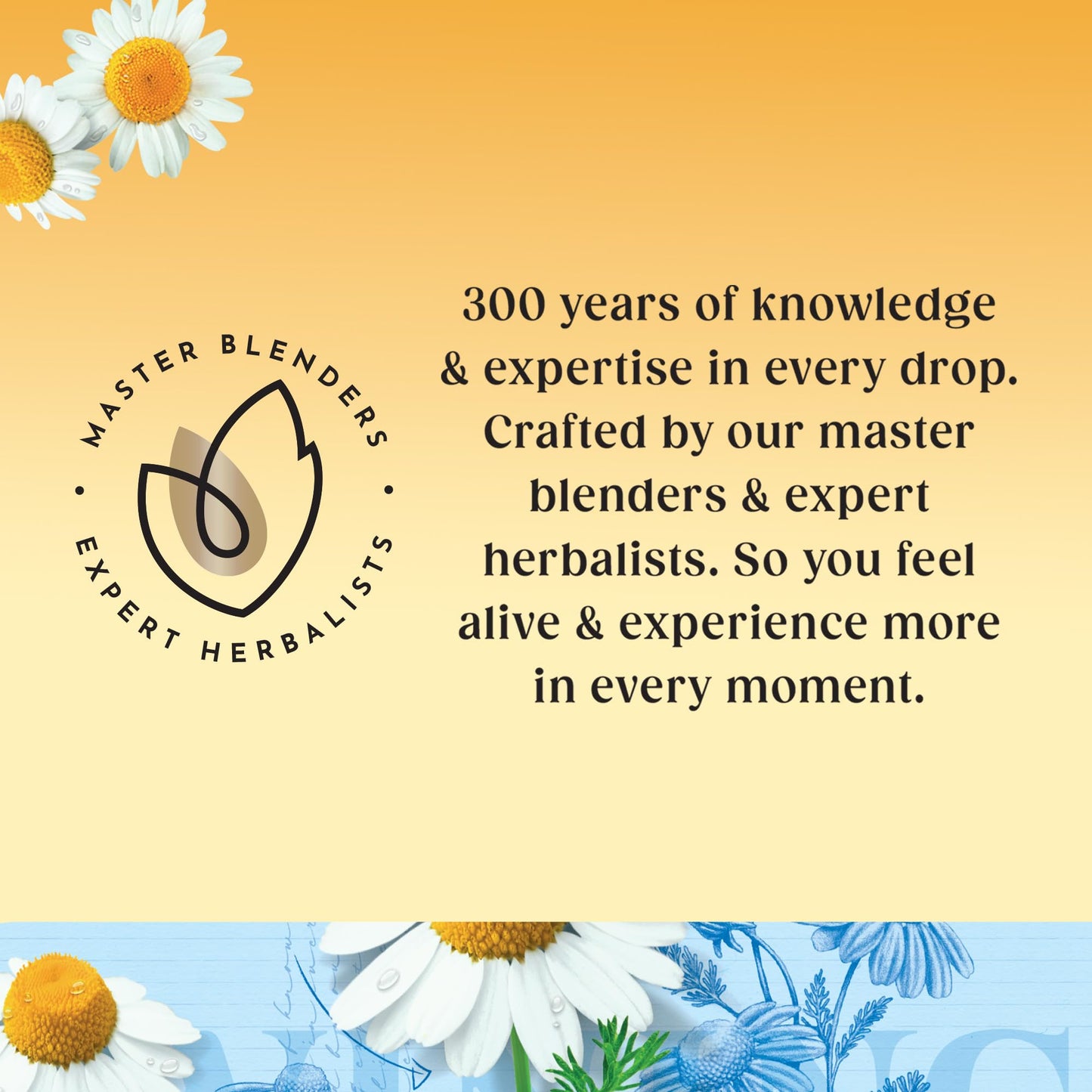 Twinings Pure Camomile Tea – Imported & Caffeine-Free