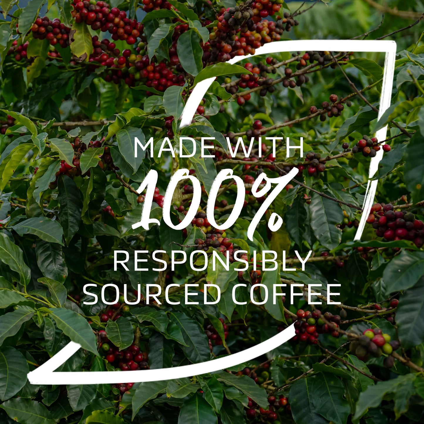 Nescafe Gold Cappuccino 124G | Imported | Same-Day Dispatch