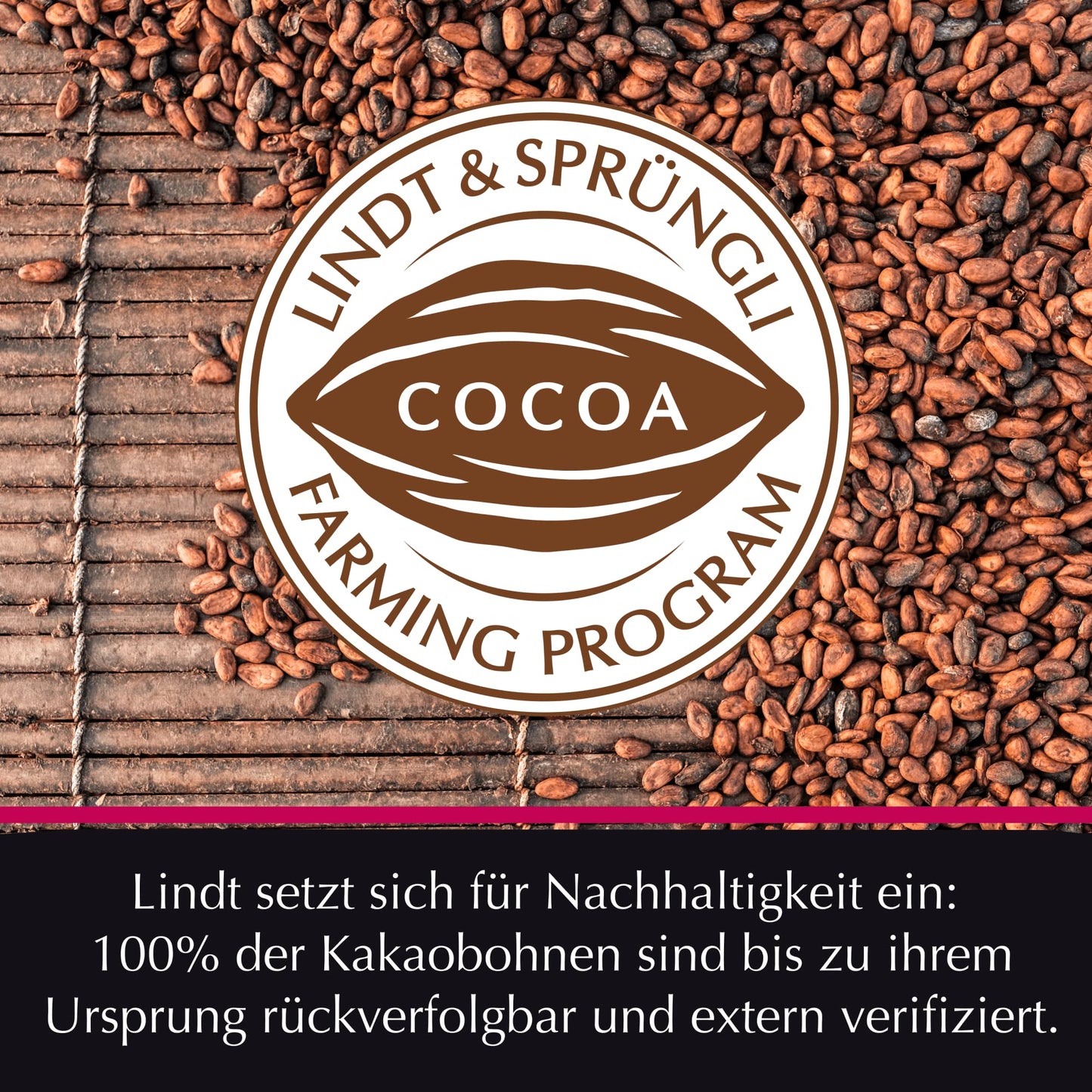 Lindt Hello Crunchy Nougat Milk Chocolate Bar Pouch – 100g | Imported