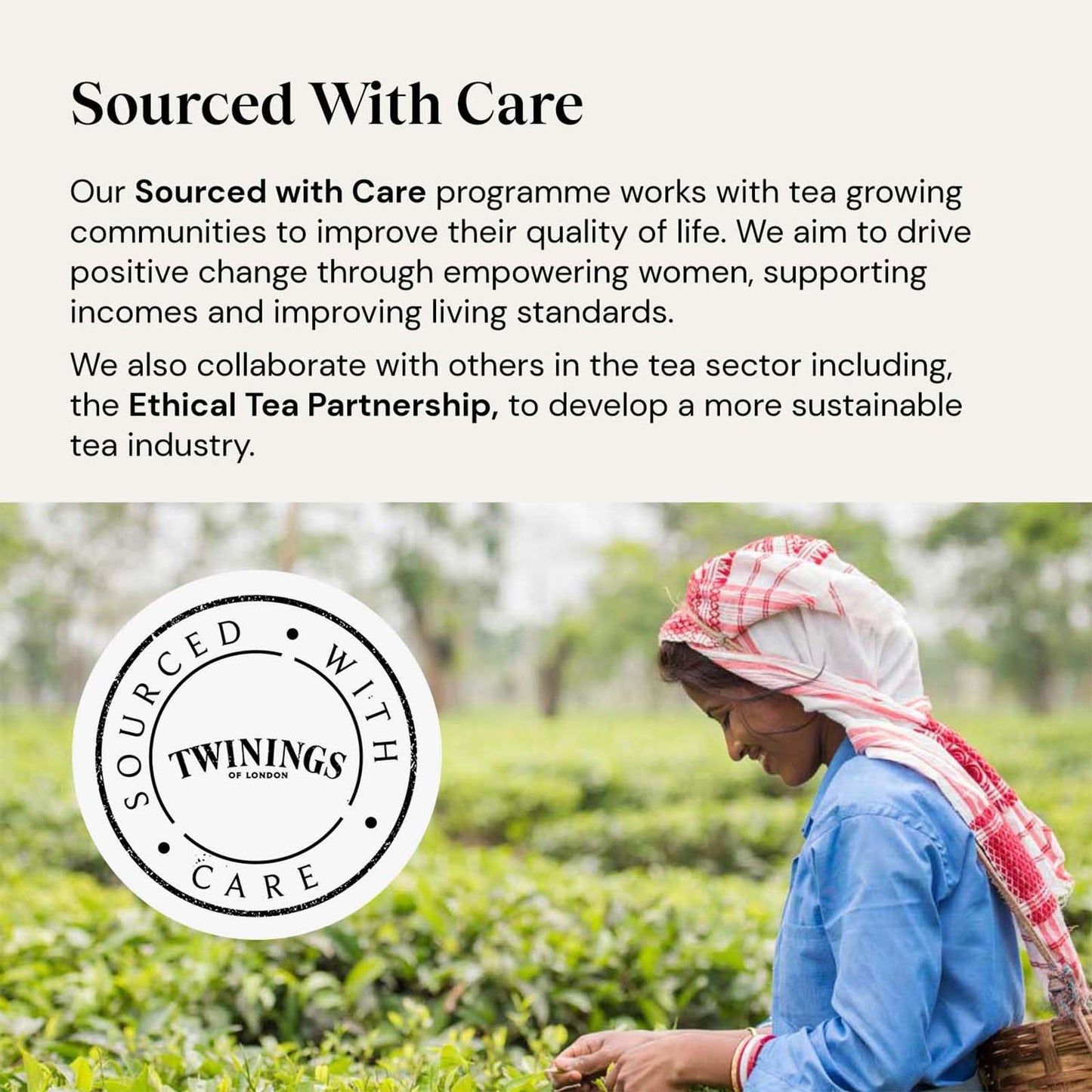 Twinings Superblends Immune Support Tea – 20 Bags | Imported