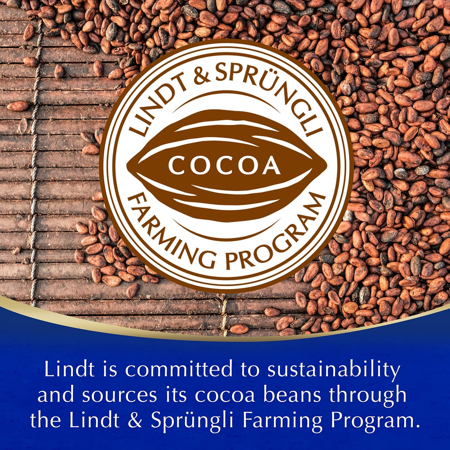 Lindt Hot Chocolate – Made with Premium Lindt Chocolate | 300g Imported