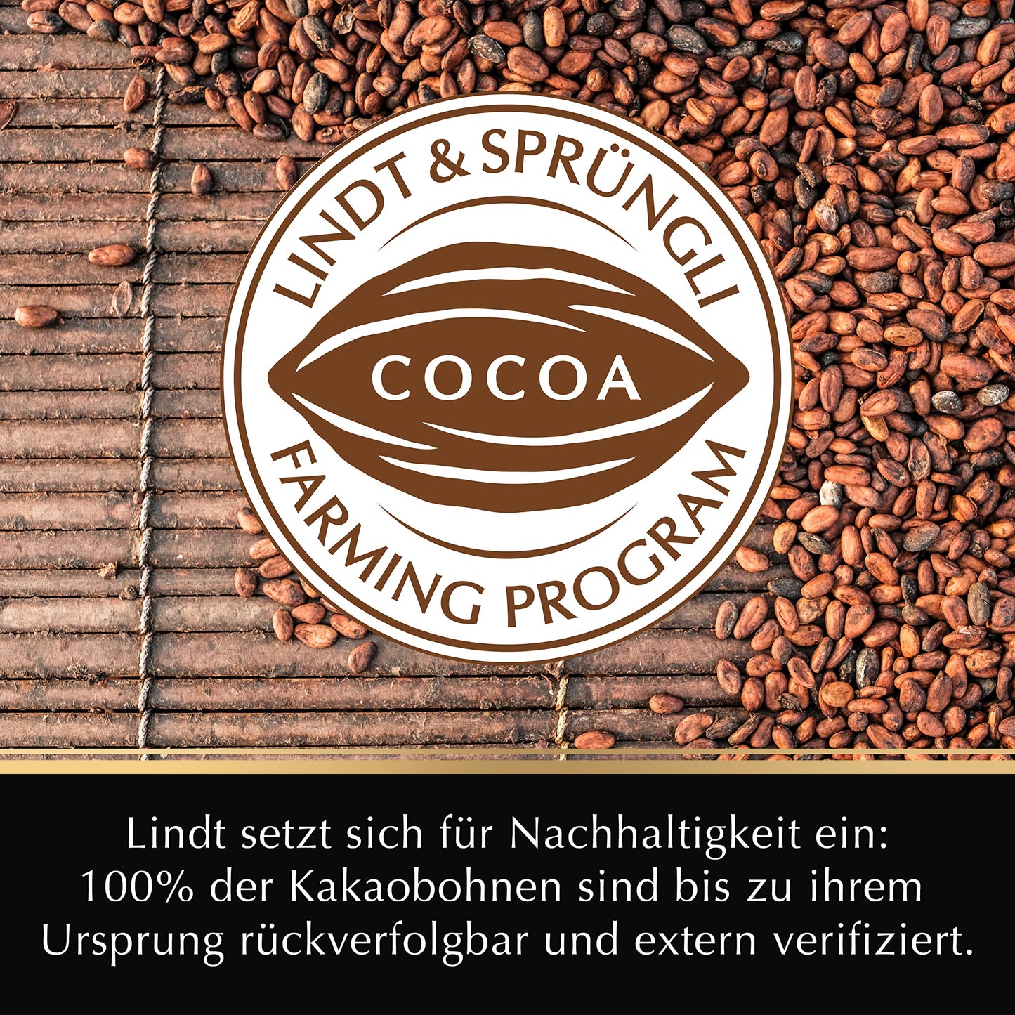 Lindt Excellence Pure 82% Cocoa Dark Chocolate – 80g | Imported Limited Edition