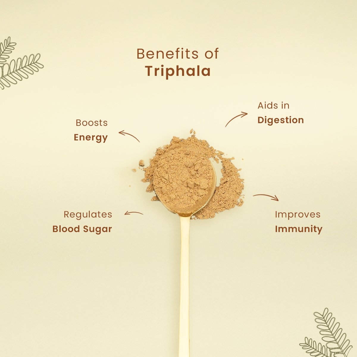 Organic Triphala Powder by IndyGood  | 200g Churna