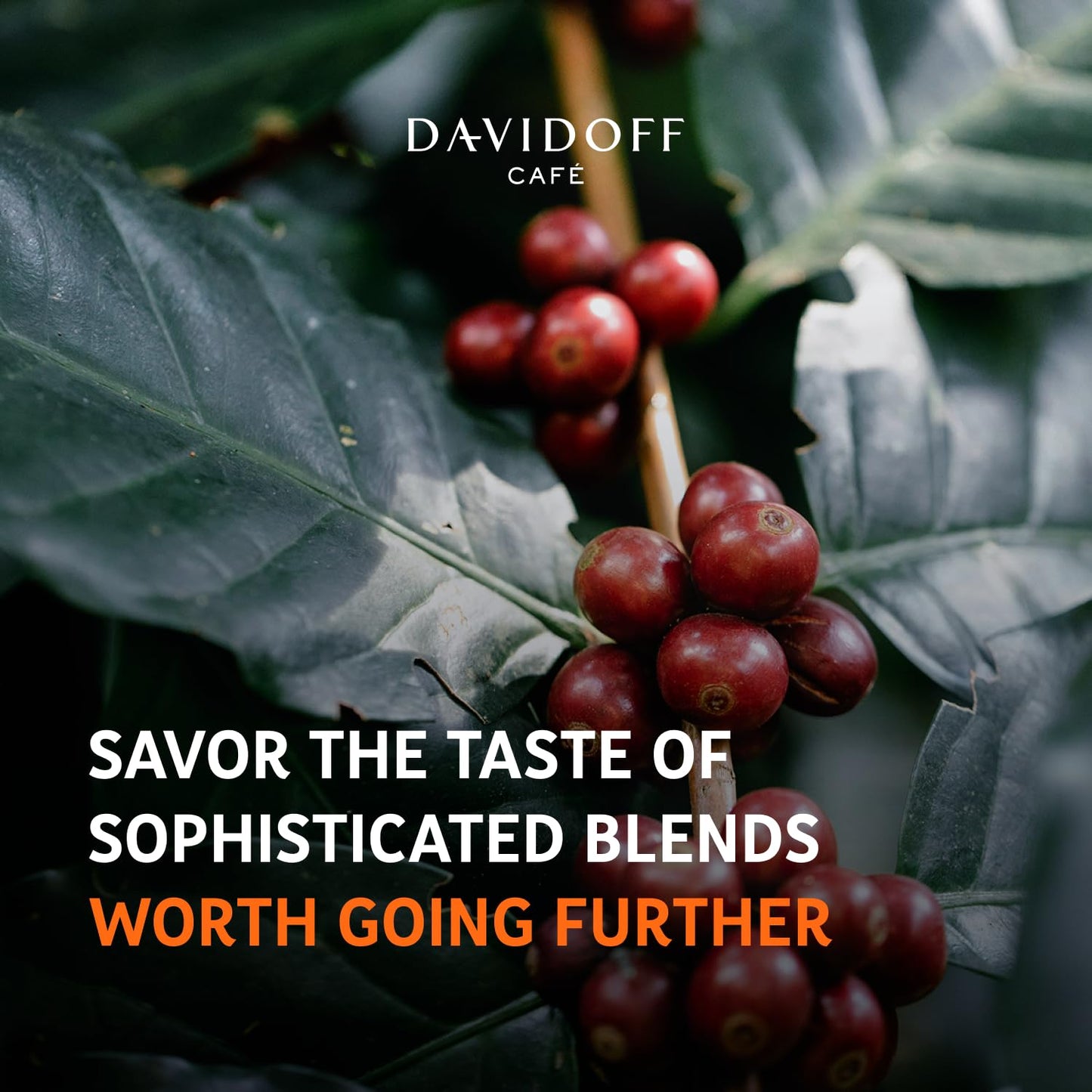 Davidoff Crema Intense Instant Coffee | Imported|  9/12 Intensity - 100% Arabica - 90 grams, Powder, Glass Bottle
